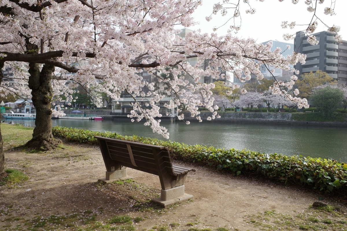 f:id:asahipontax:20210331165545j:plain