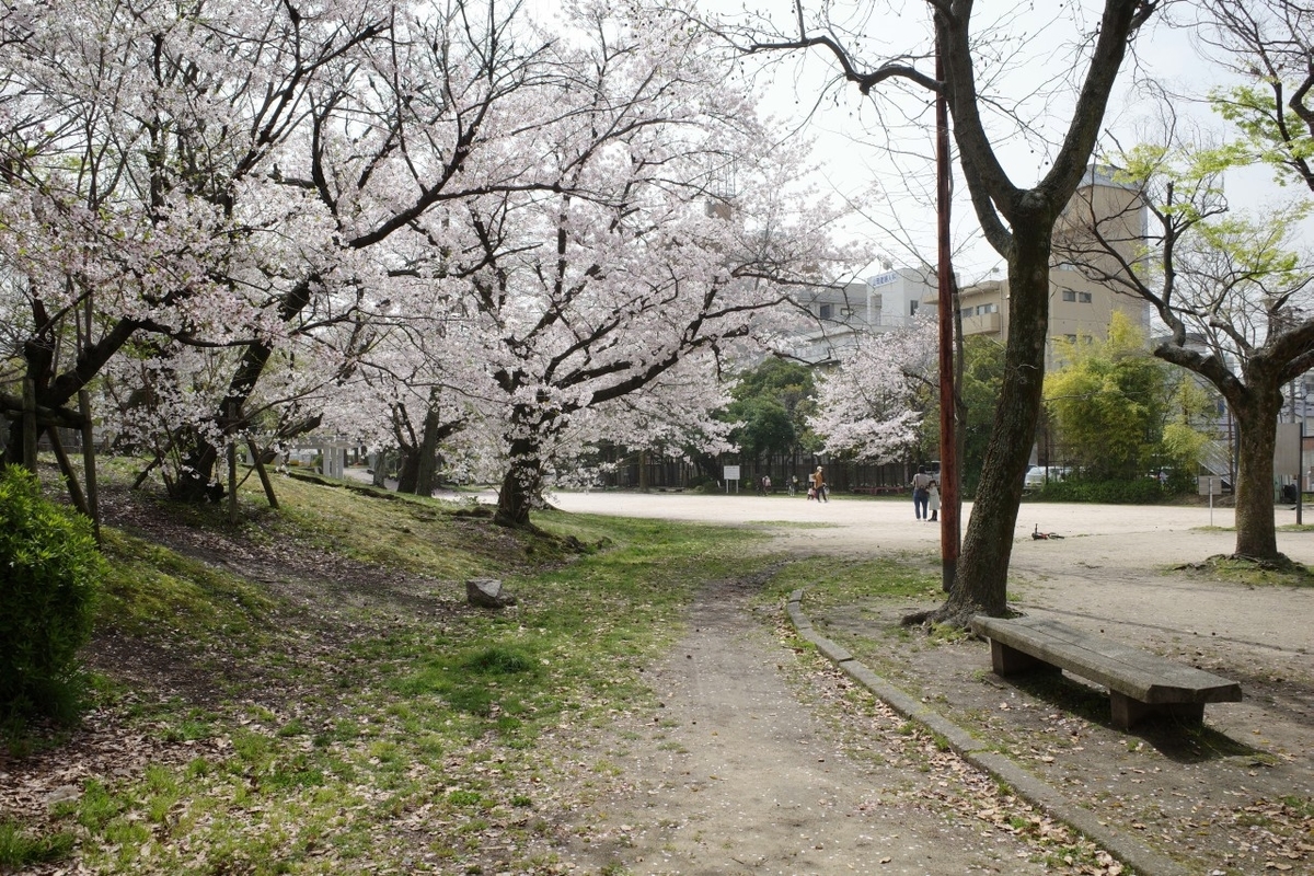 f:id:asahipontax:20210331165704j:plain