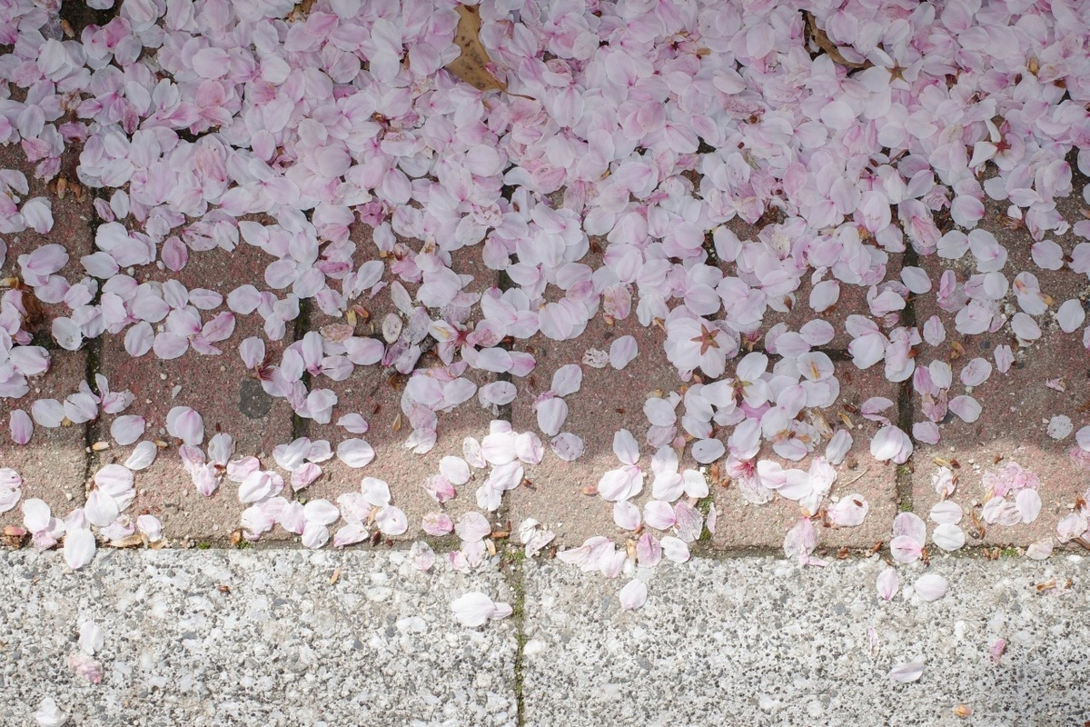 f:id:asahipontax:20210331165848j:plain
