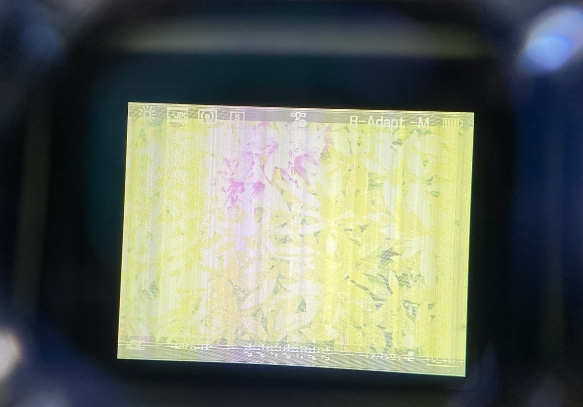 f:id:asahipontax:20210429213826j:plain