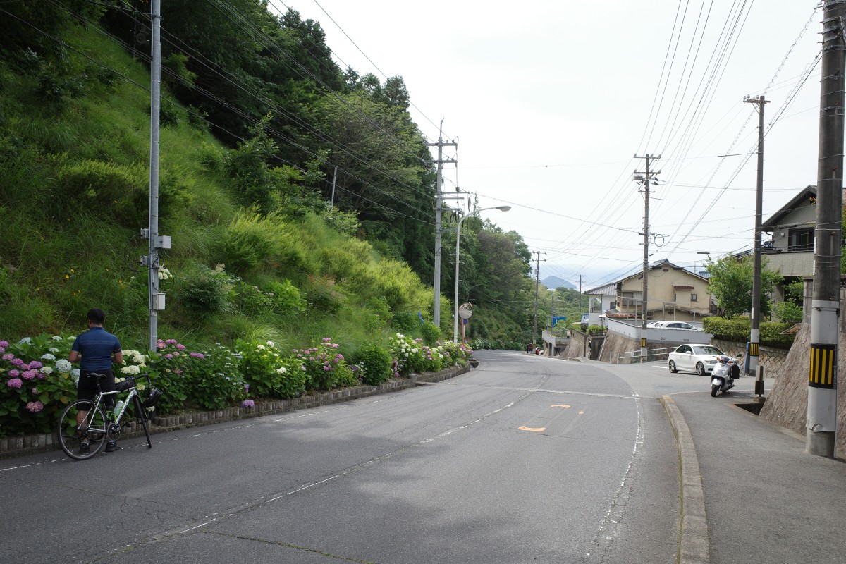 f:id:asahipontax:20210606220702j:plain