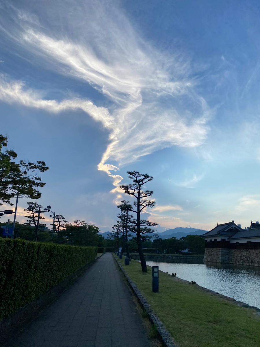 f:id:asahipontax:20210801210340j:plain