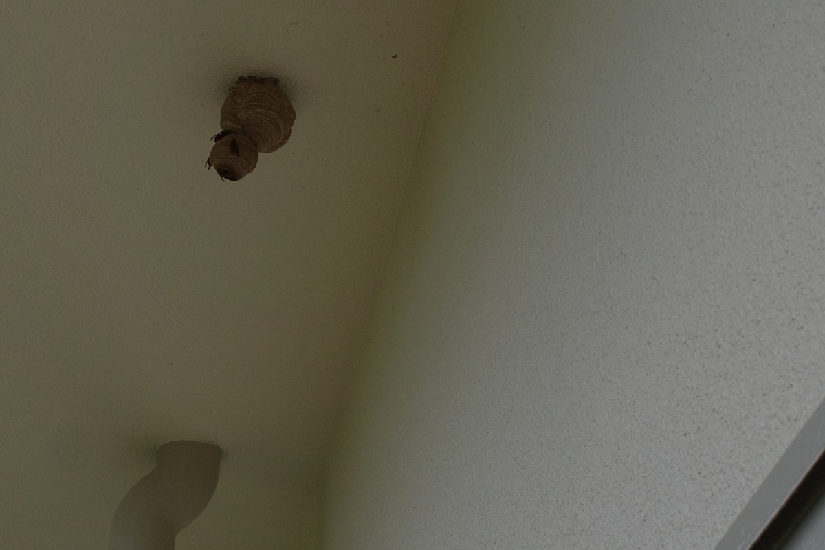 f:id:asahipontax:20210912121701j:plain
