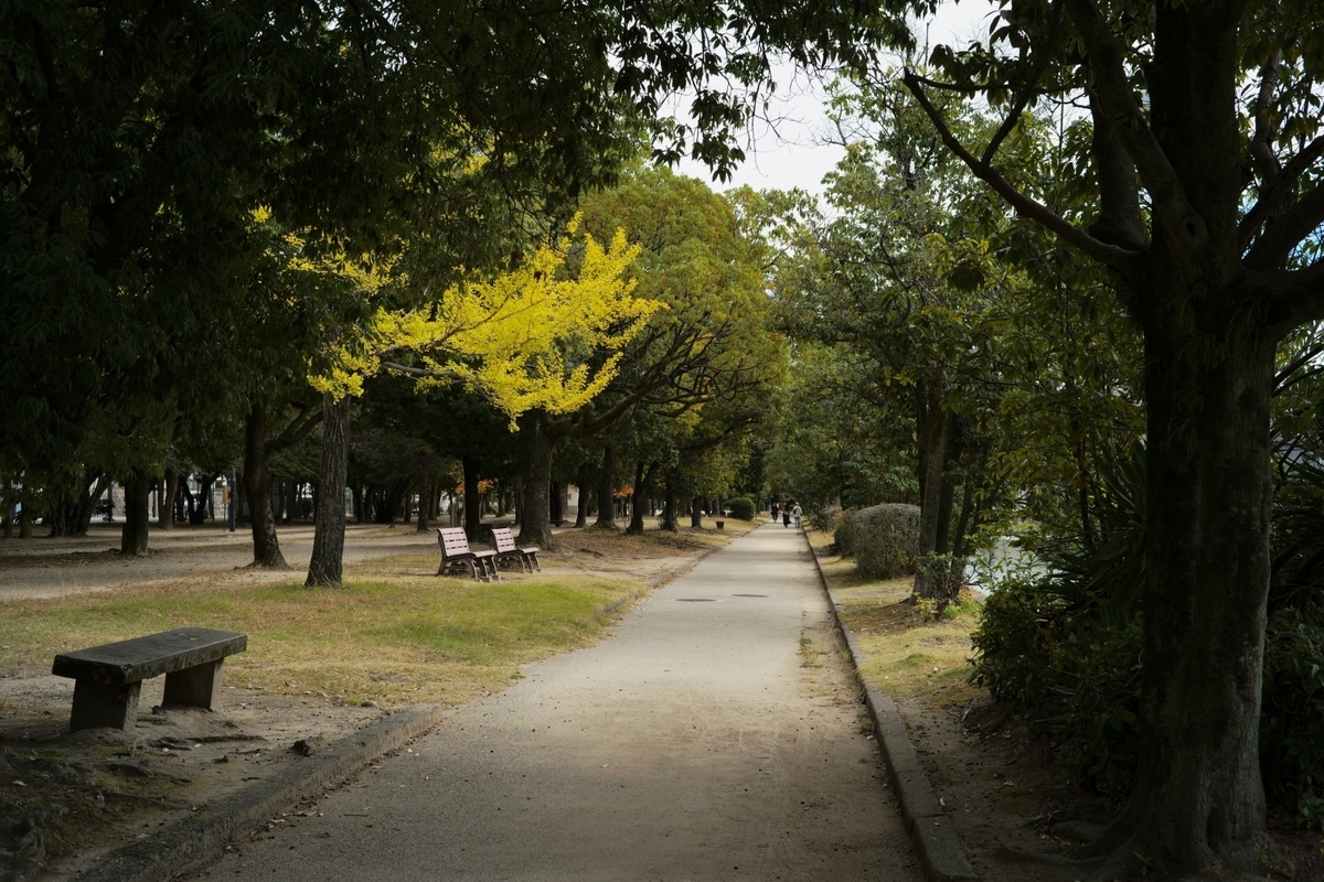 f:id:asahipontax:20211103230542j:plain