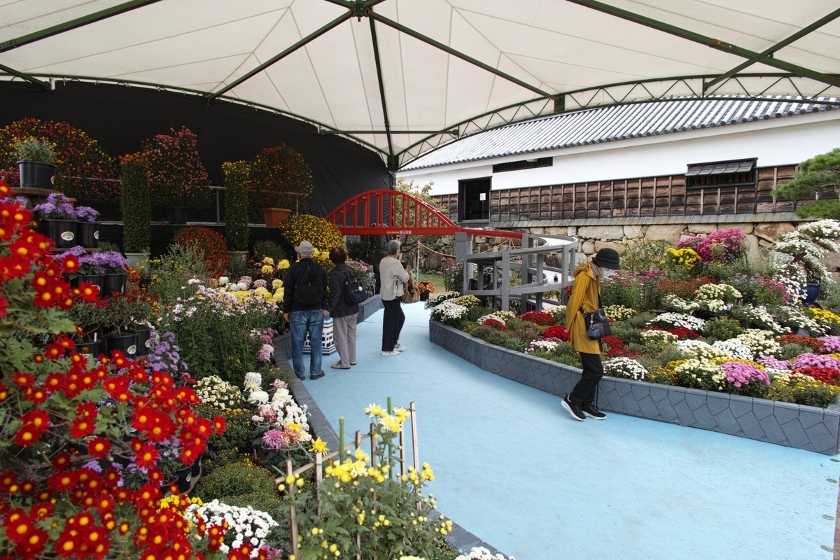 f:id:asahipontax:20211103231111j:plain