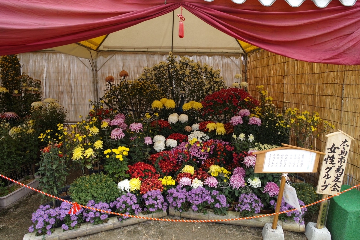 f:id:asahipontax:20211103231437j:plain