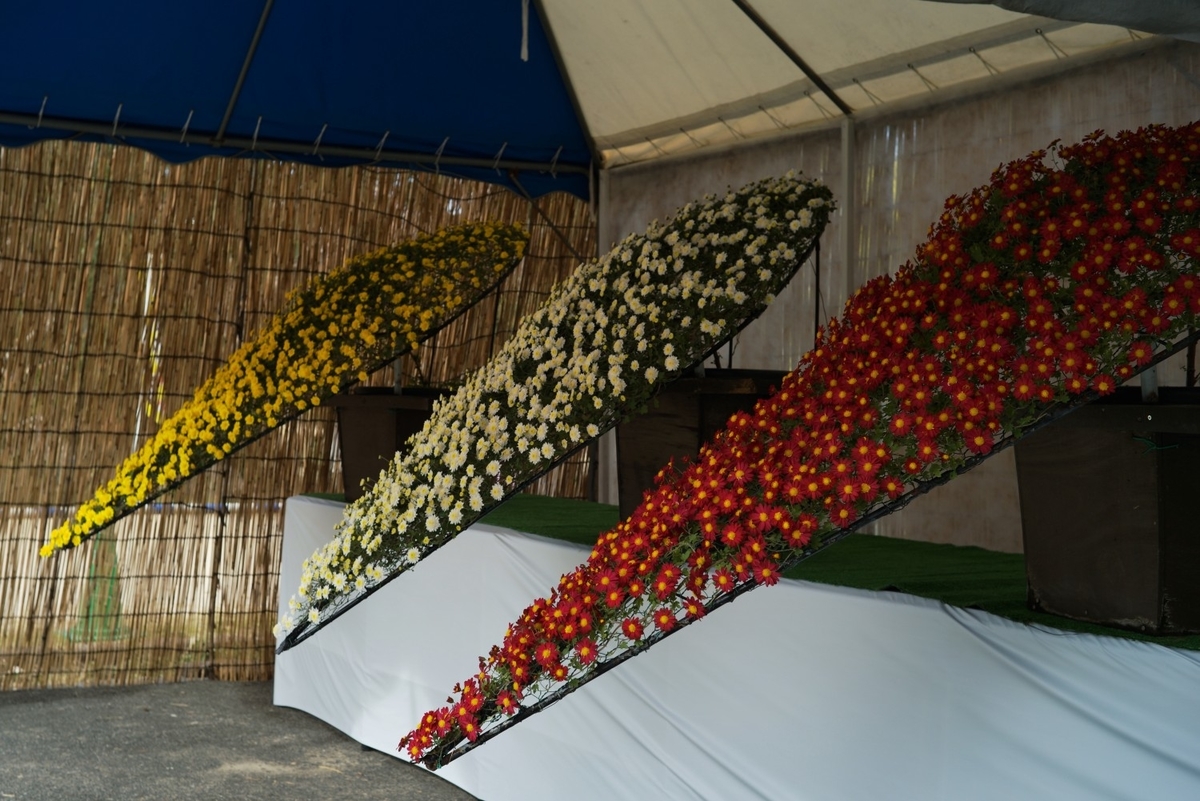 f:id:asahipontax:20211103231534j:plain