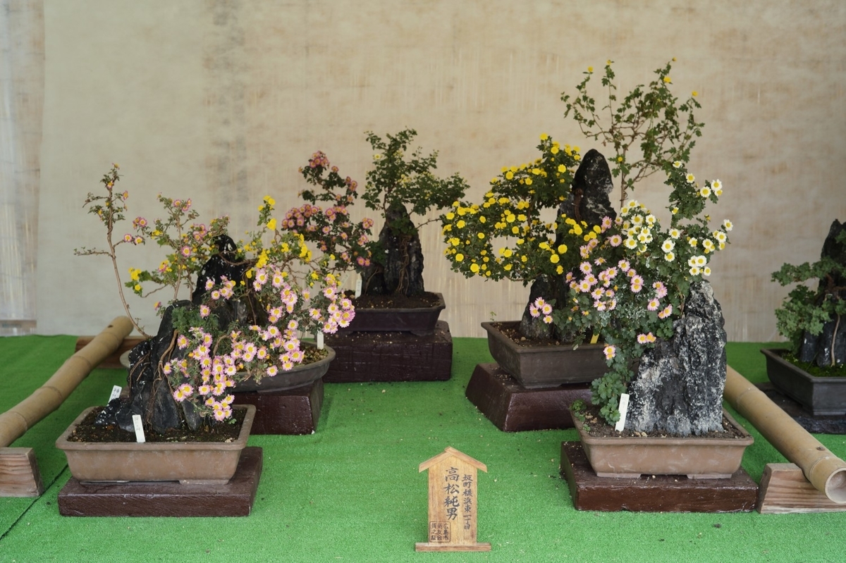 f:id:asahipontax:20211103231937j:plain