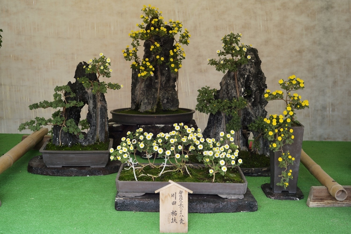 f:id:asahipontax:20211103231951j:plain