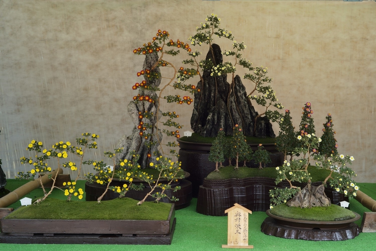 f:id:asahipontax:20211103232002j:plain