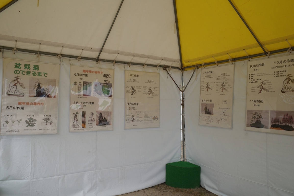 f:id:asahipontax:20211103232039j:plain