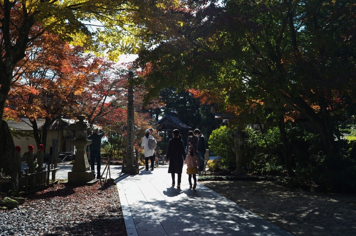 f:id:asahipontax:20211114220141j:plain
