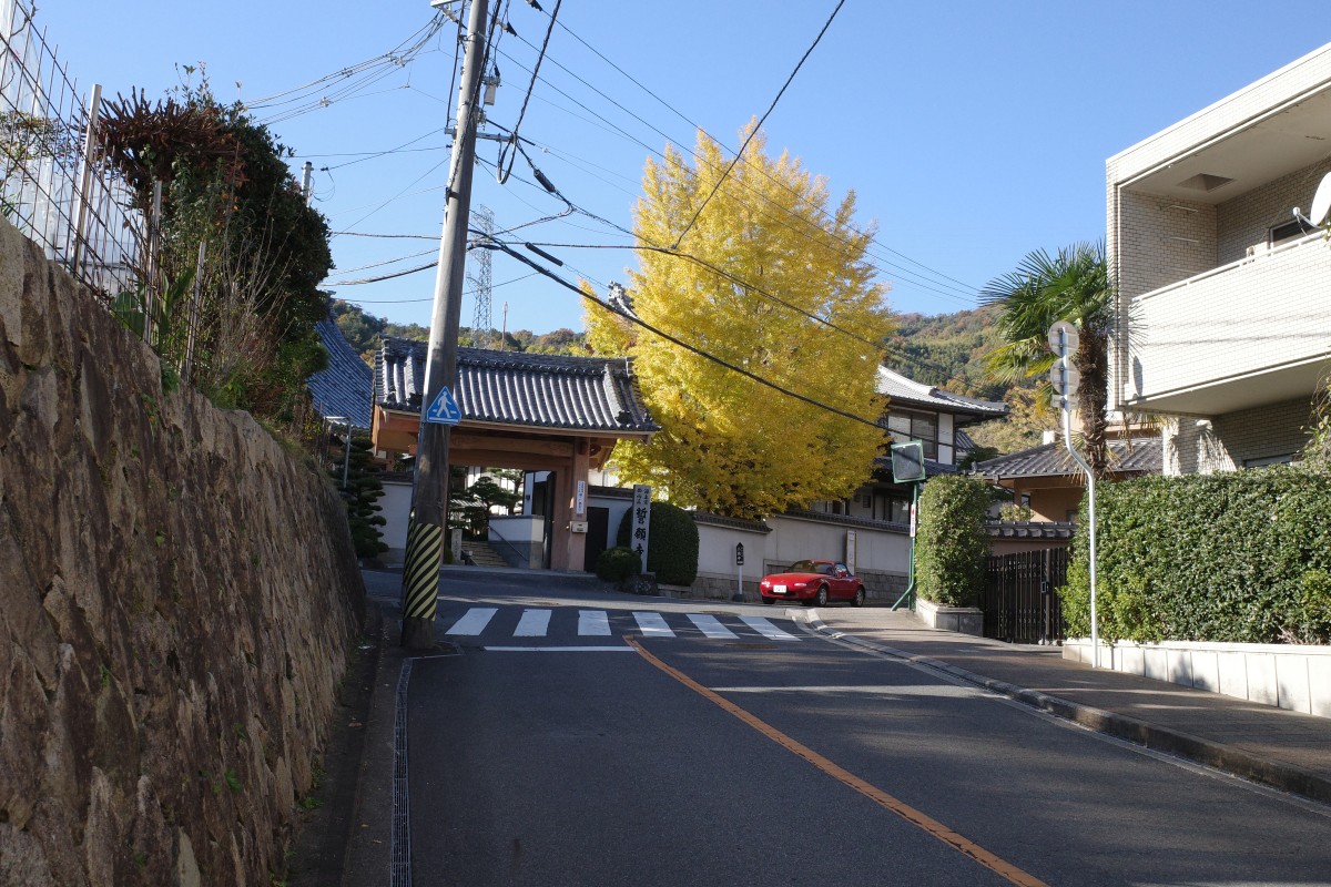 f:id:asahipontax:20211128212222j:plain