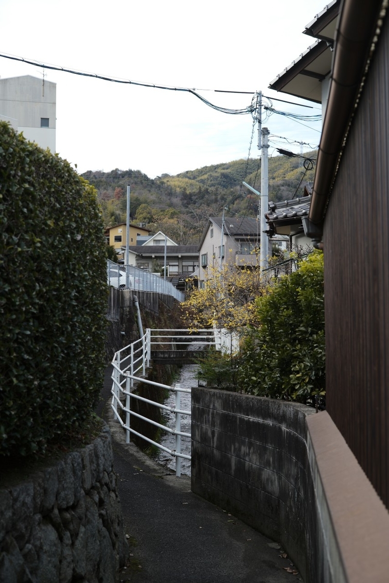 f:id:asahipontax:20220116204308j:plain