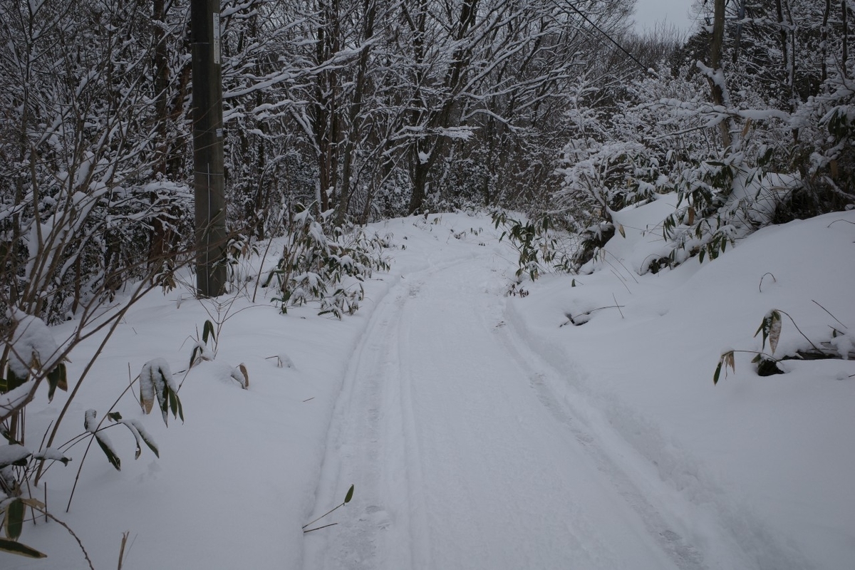 f:id:asahipontax:20220123165800j:plain