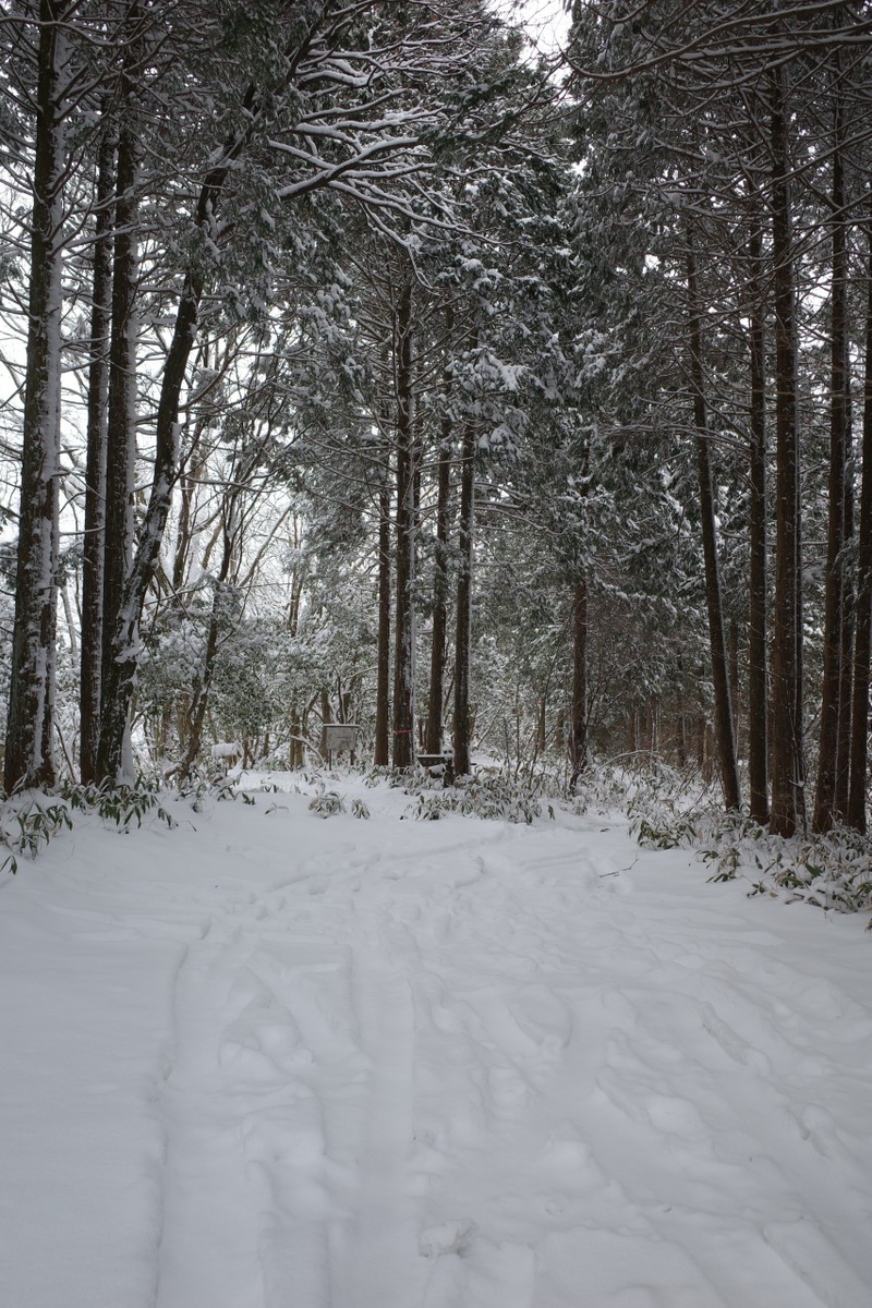 f:id:asahipontax:20220123165845j:plain