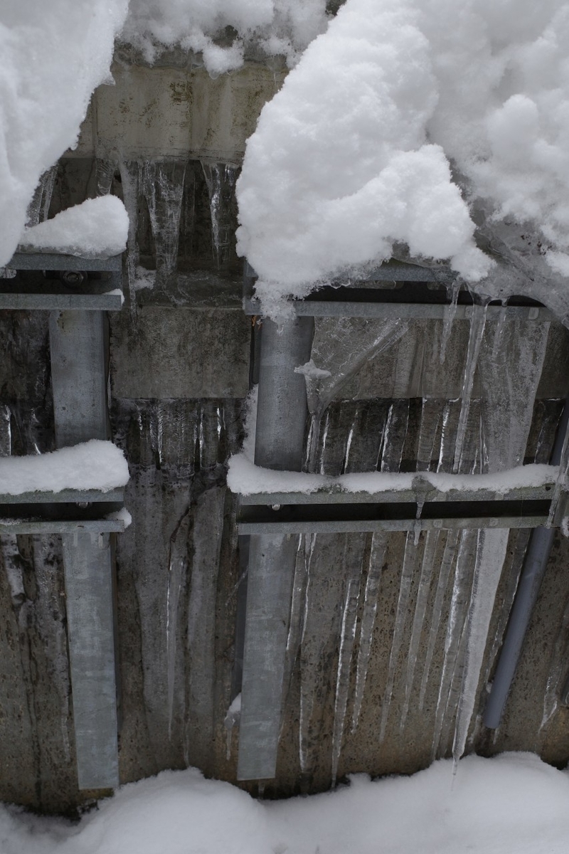 f:id:asahipontax:20220123165903j:plain