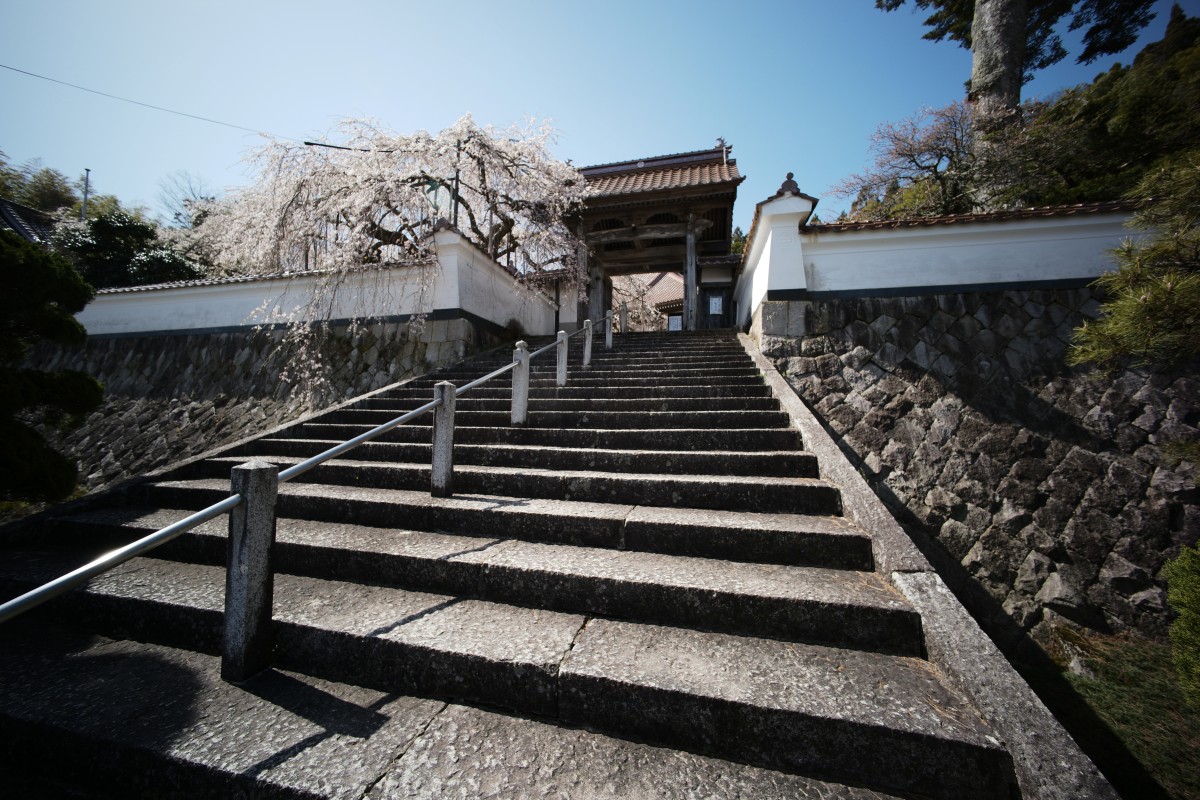 f:id:asahipontax:20220409223118j:plain