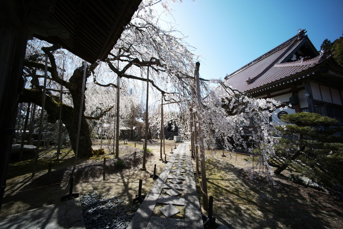 f:id:asahipontax:20220409223220j:plain