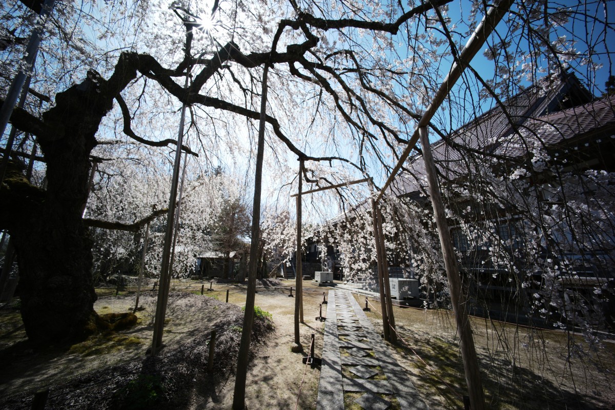 f:id:asahipontax:20220409223230j:plain