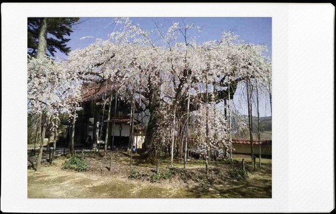 f:id:asahipontax:20220409224200j:plain