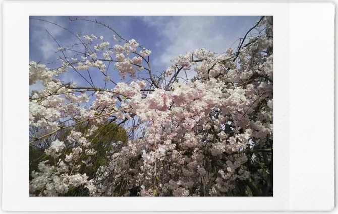 f:id:asahipontax:20220411012036j:plain