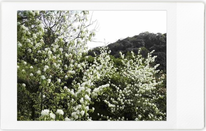 f:id:asahipontax:20220411012141j:plain