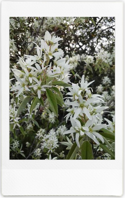 f:id:asahipontax:20220411012149j:plain