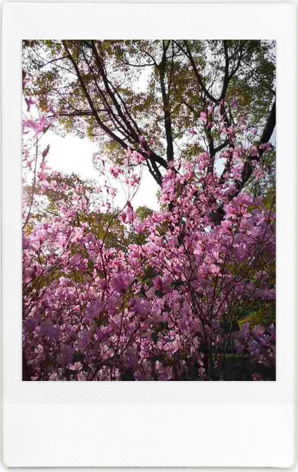 f:id:asahipontax:20220411013134j:plain