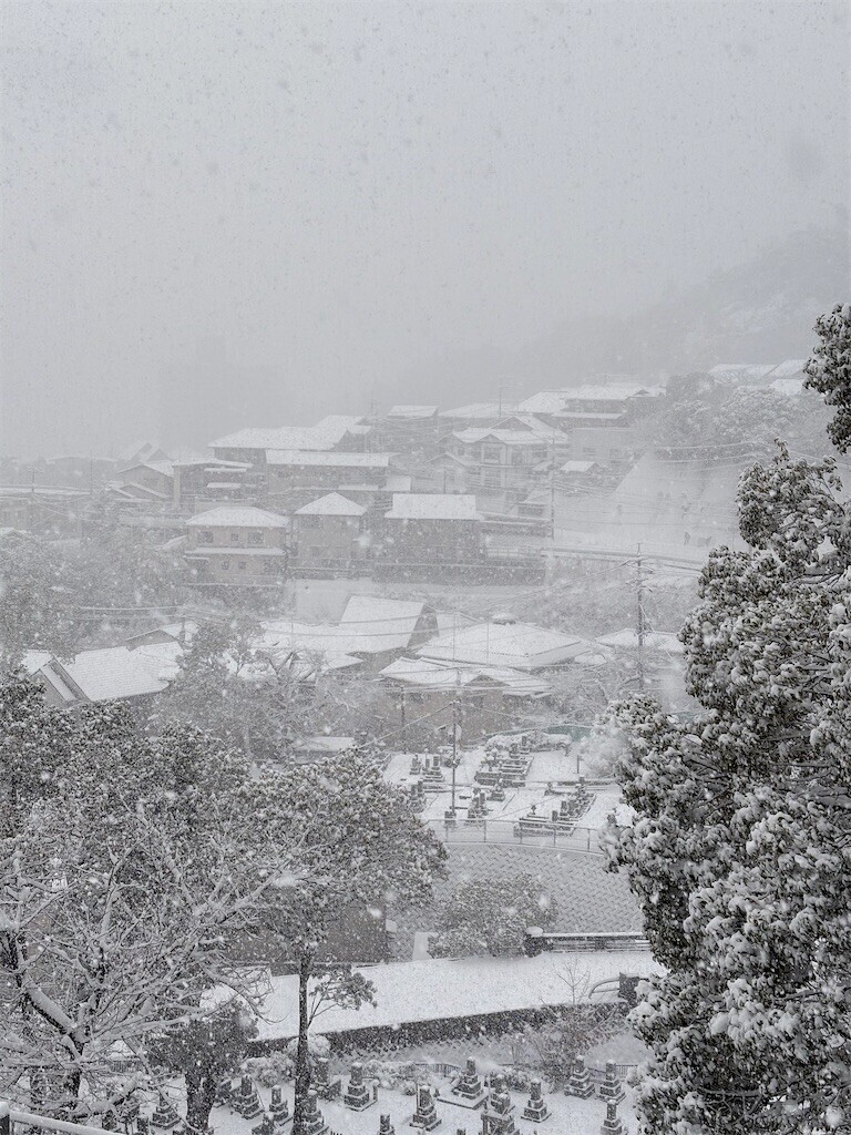 f:id:asahipontax:20260208183438j:image