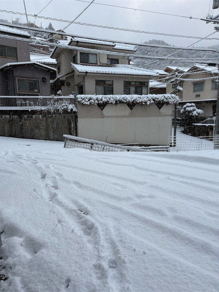 f:id:asahipontax:20260208183450j:image