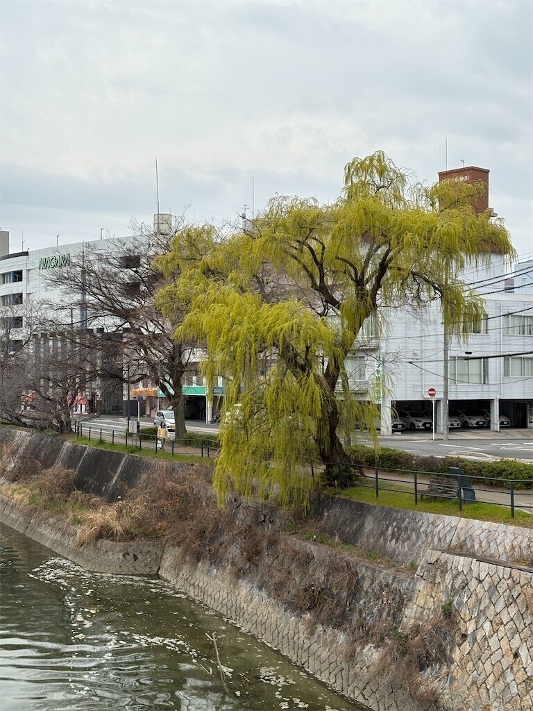 f:id:asahipontax:20260325171058j:image