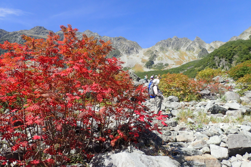 f:id:asahiryuta:20160917152227j:plain