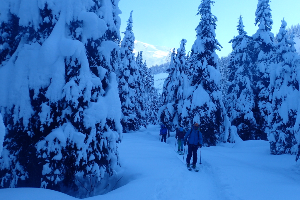 f:id:asahiryuta:20161211145640j:plain