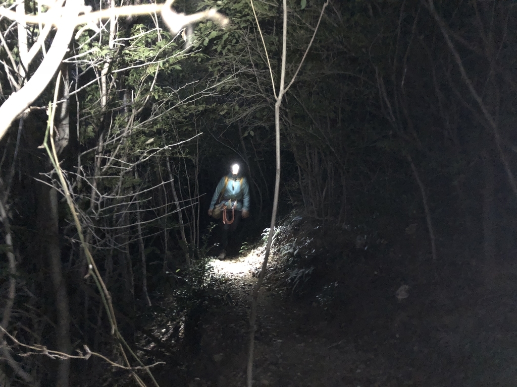 f:id:asahiryuta:20181021003923j:plain