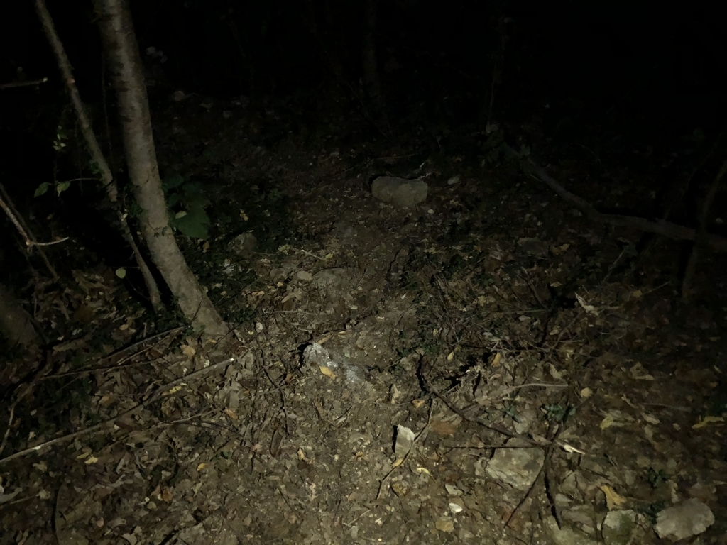 f:id:asahiryuta:20181021004001j:plain