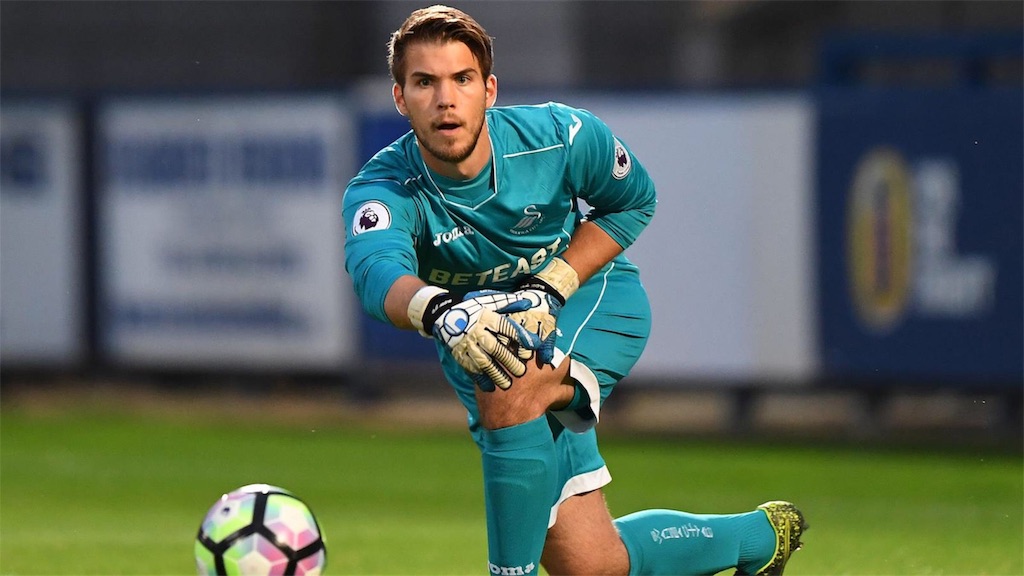 Japanswansのブログ