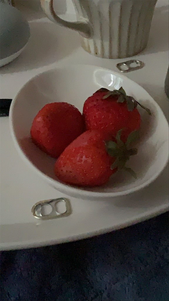 f:id:asaitakai:20210510135332j:image