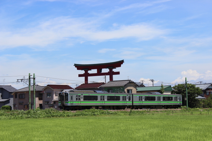 イメージ 12