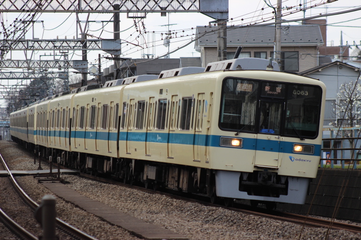 イメージ 6