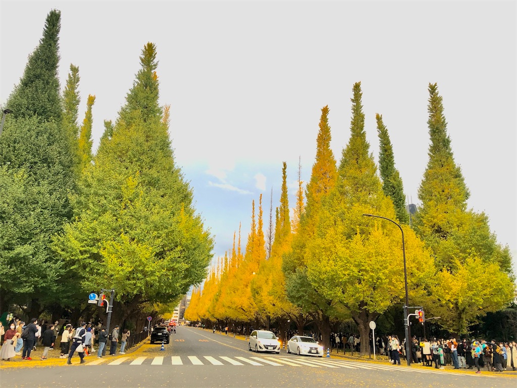 f:id:asakan10tyu:20221121021559j:image f:id:asakan10tyu:20221121021559j:image