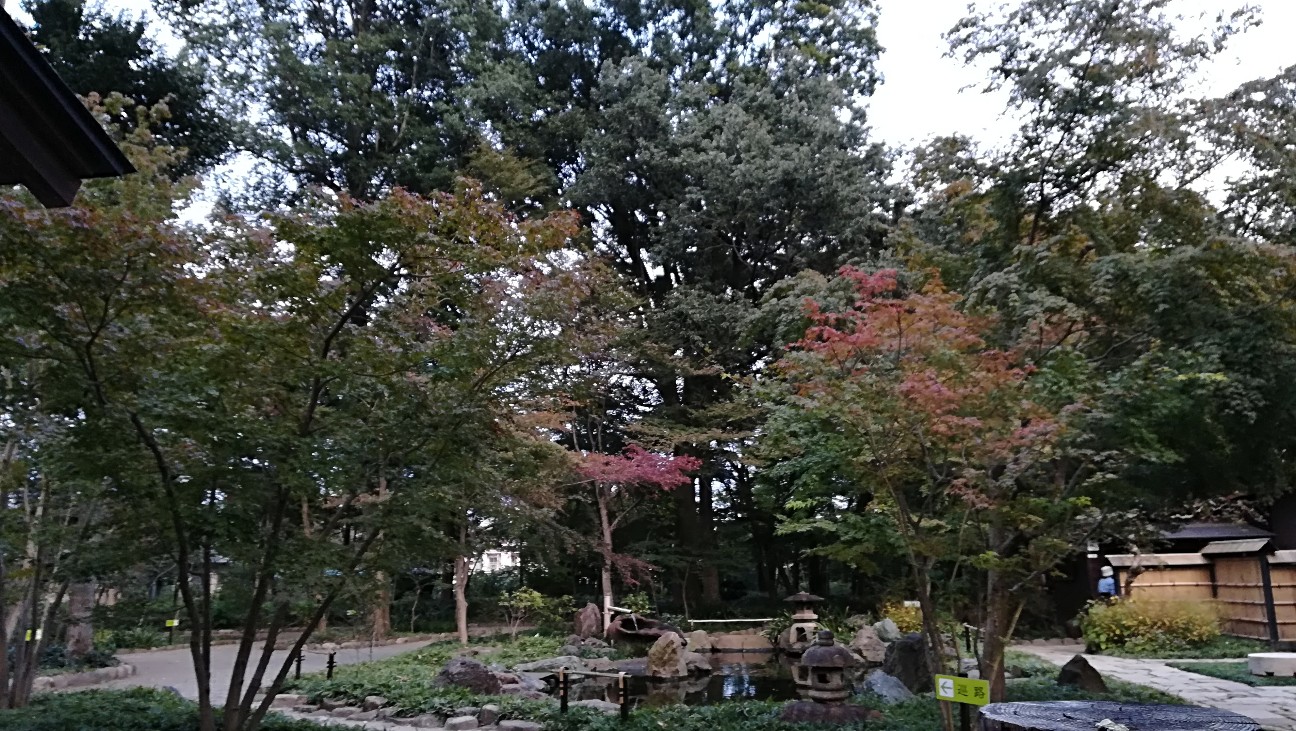 f:id:asakanow:20201103210826j:plain f:id:asakanow:20201103210826j:plain