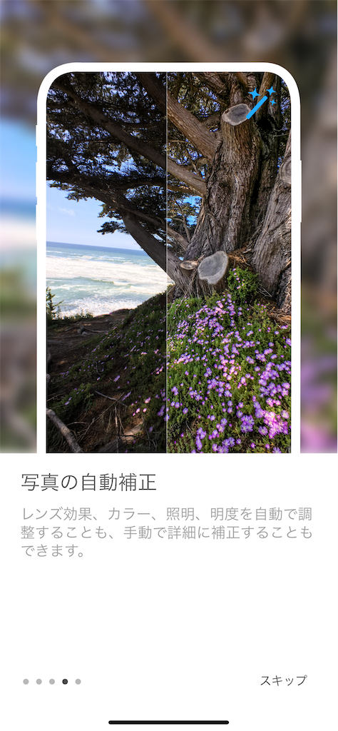 f:id:asakatomoki:20200615142711p:image f:id:asakatomoki:20200615142711p:image