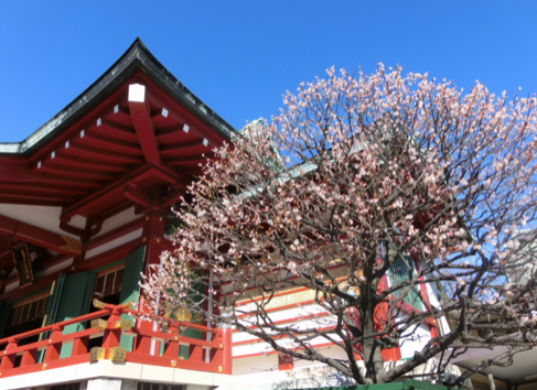 f:id:asakatsuman:20181028124501p:plain f:id:asakatsuman:20181028124501p:plain