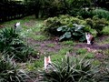 20080523031102