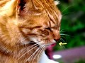20080524060316