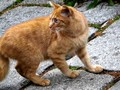 20080603030529