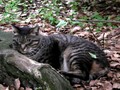 20080613022357
