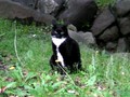 20080613023349