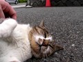 20080713221301